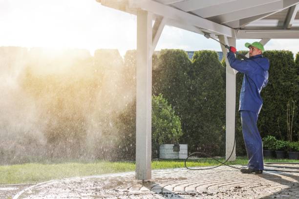 Best Animal Enclosure Cleaning  in Botkins, OH