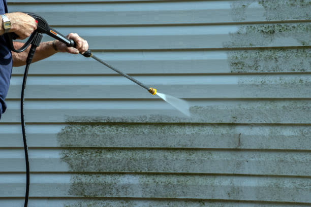 Best Driveway Pressure Washing  in Botkins, OH